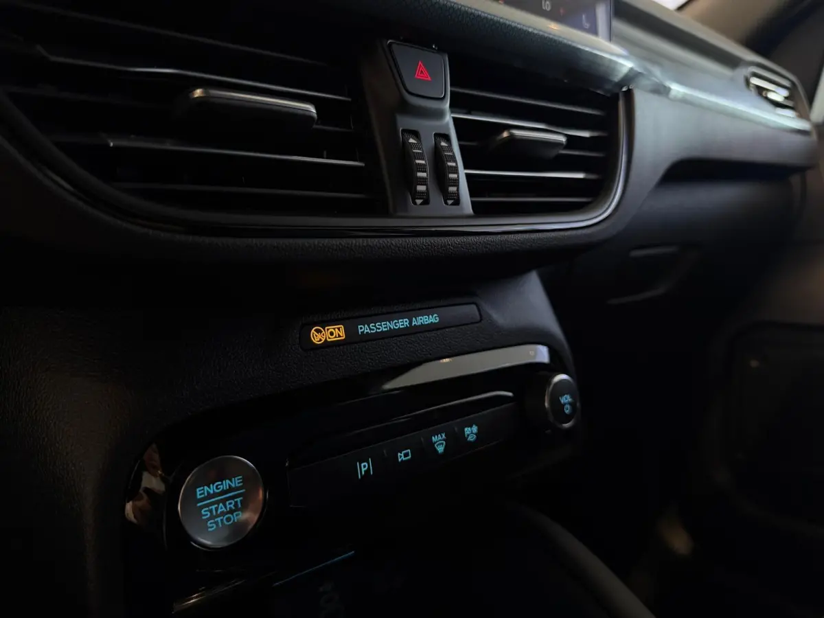 PHEV Blue Cruise | PANORAMA DAK | WEGKLAPBARE TREKHAAK | 360 GRADEN CAMERA | WINTER PACK |