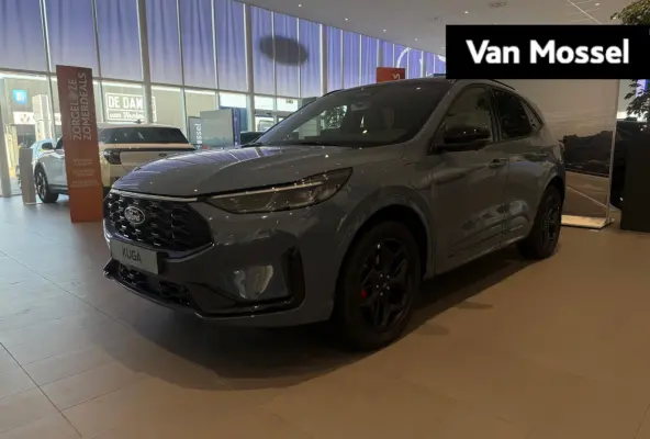 PHEV Blue Cruise | PANORAMA DAK | WEGKLAPBARE TREKHAAK | 360 GRADEN CAMERA | WINTER PACK |