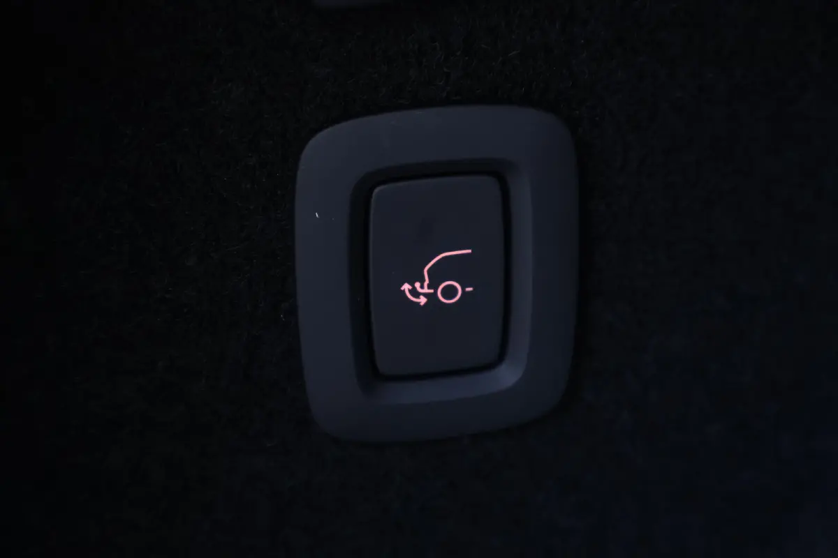 Single Motor Extended Range Plus 69 kWh | Trekhaak | Harman Kardon | BLIS | Warmtepomp |