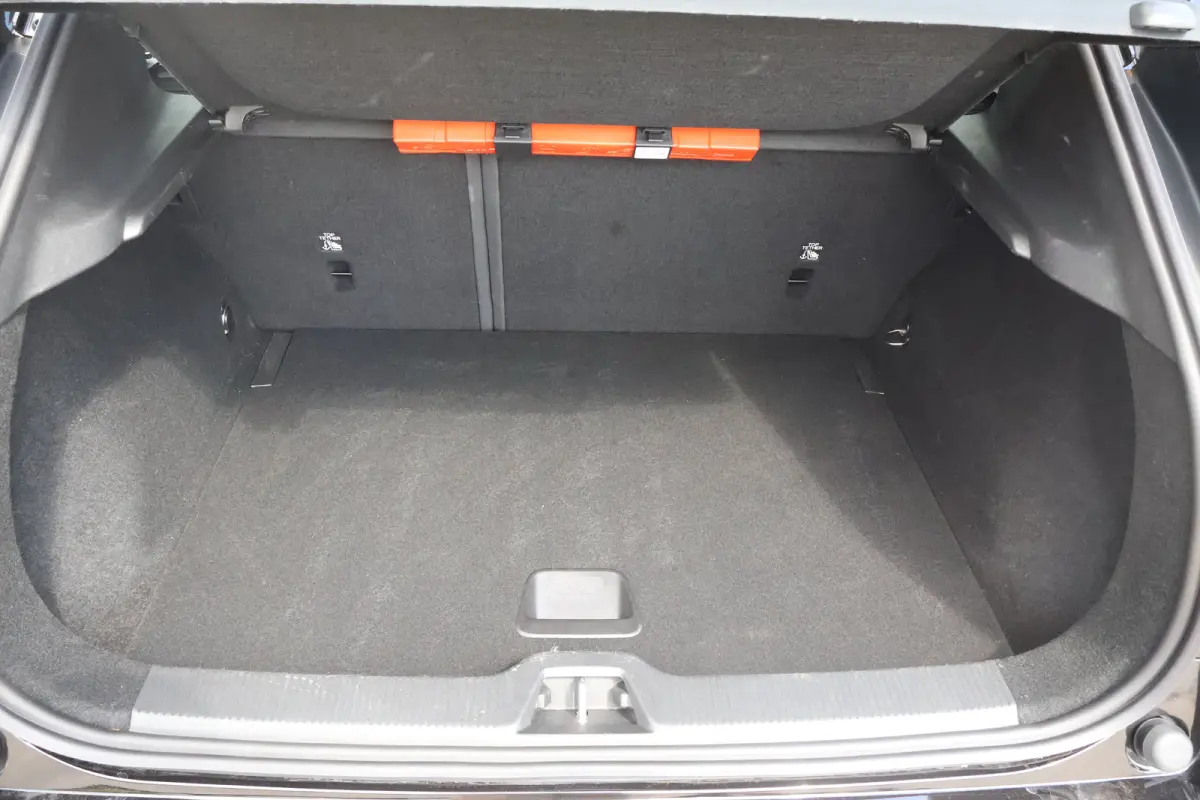 Single Motor Extended Range Plus 69 kWh | Trekhaak | Harman Kardon | BLIS | Warmtepomp |