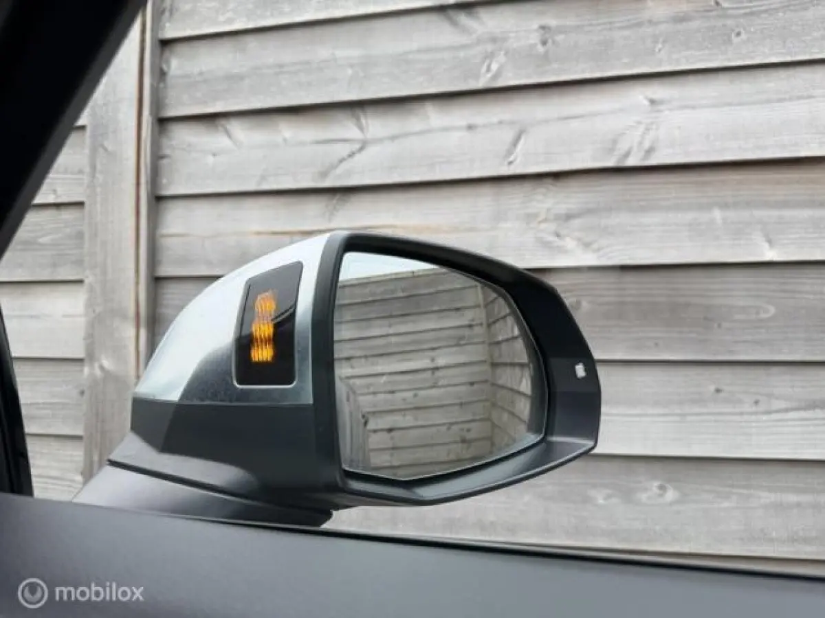 SQ5 3.0 TFSI SQ5 quattro ProLine Plus Trekhaak-Luchtvering
