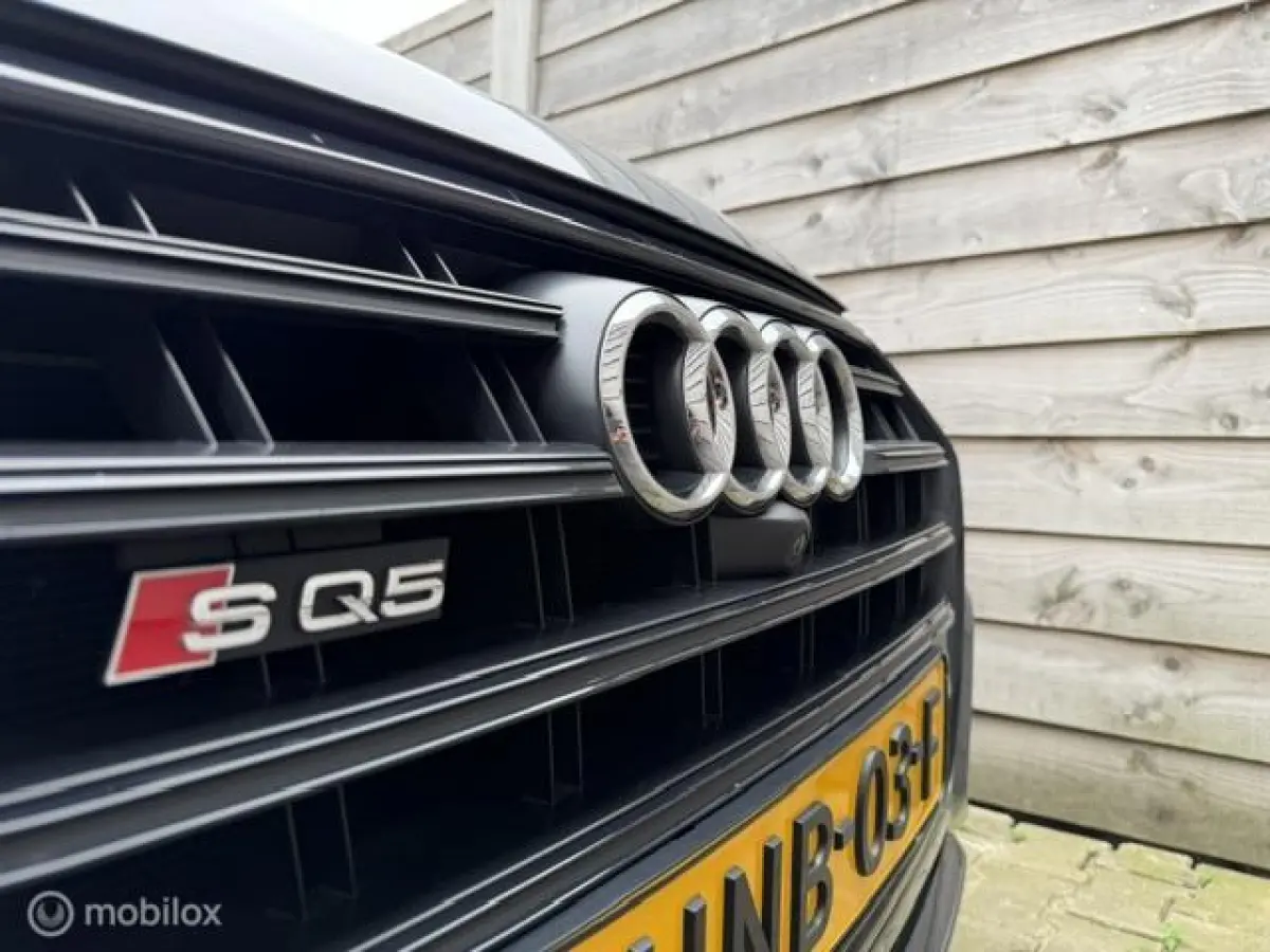 SQ5 3.0 TFSI SQ5 quattro ProLine Plus Trekhaak-Luchtvering