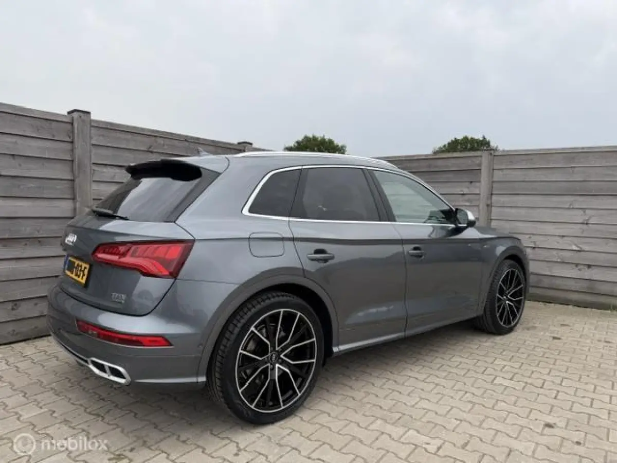 SQ5 3.0 TFSI SQ5 quattro ProLine Plus Trekhaak-Luchtvering