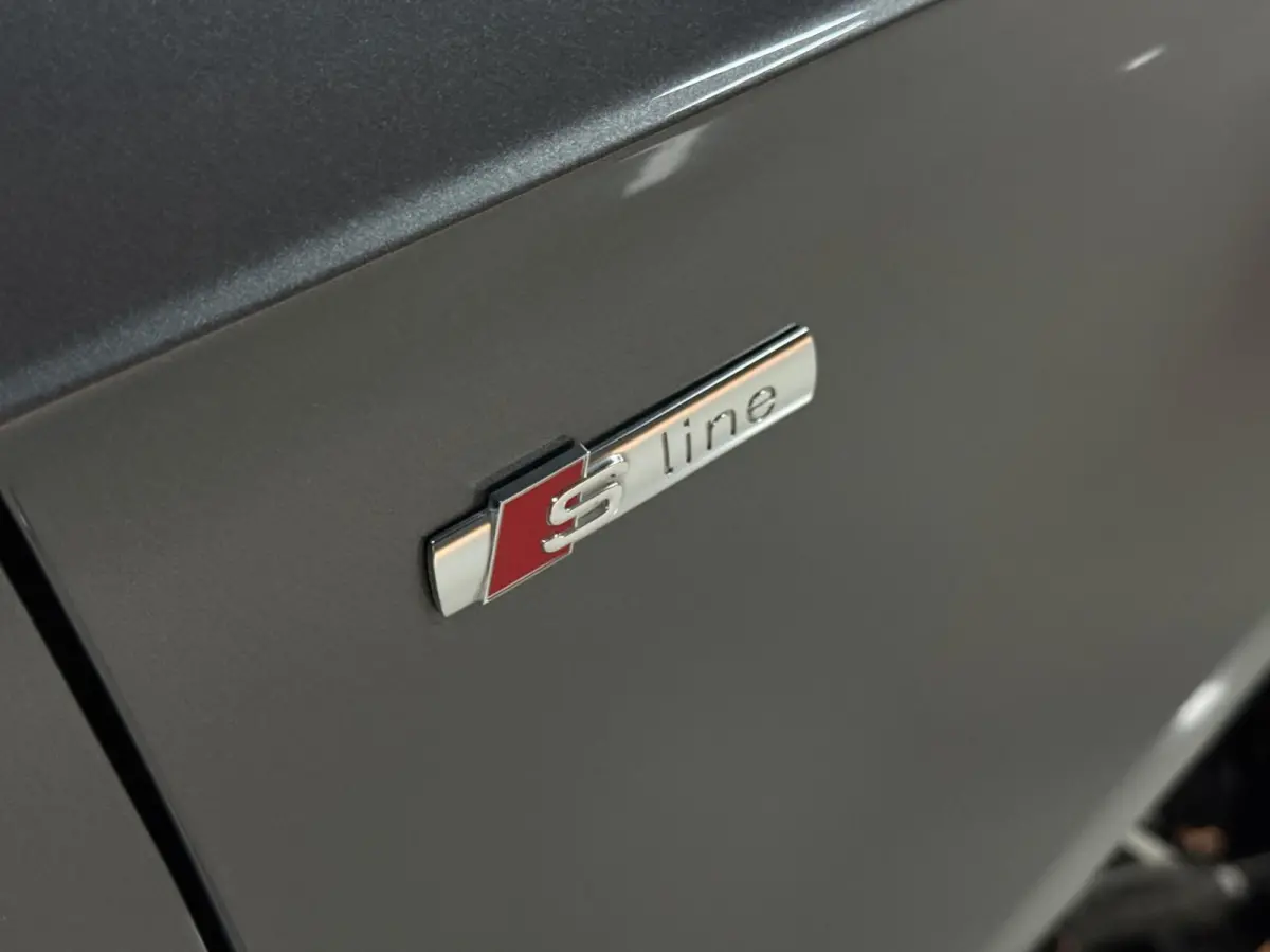 35 TFSI | 2x S-Line | Automaat | LED | PDC