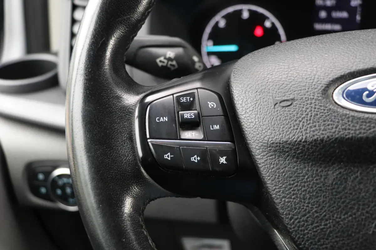 300 2.0 TDCI L2H2 Trend PDC 166446KM