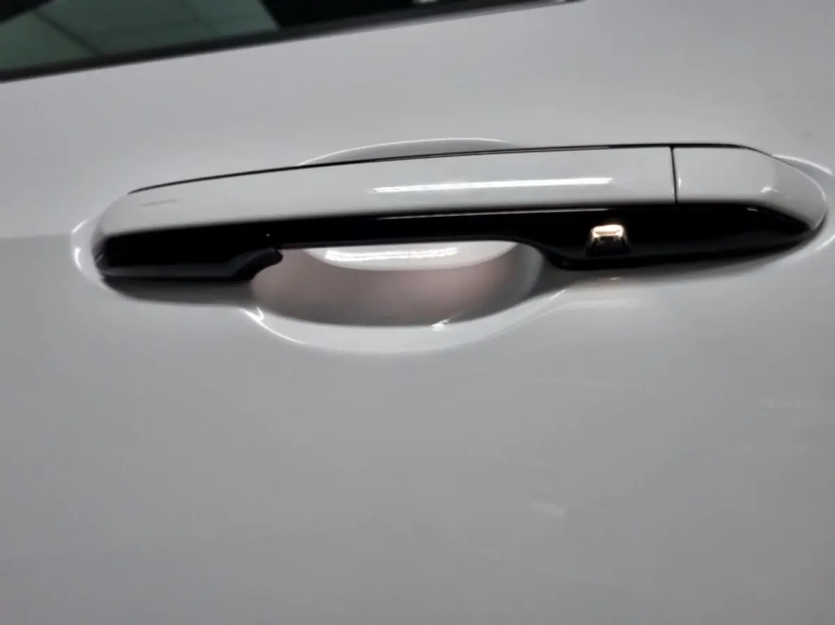 450h+ AWD F SPORT Line / Trekhaak / Schuif- kanteldak