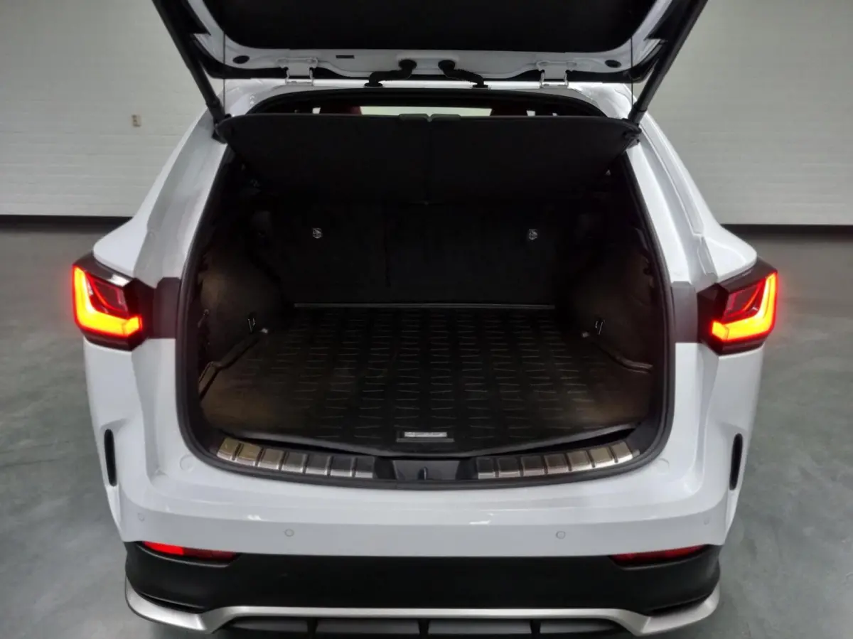450h+ AWD F SPORT Line / Trekhaak / Schuif- kanteldak