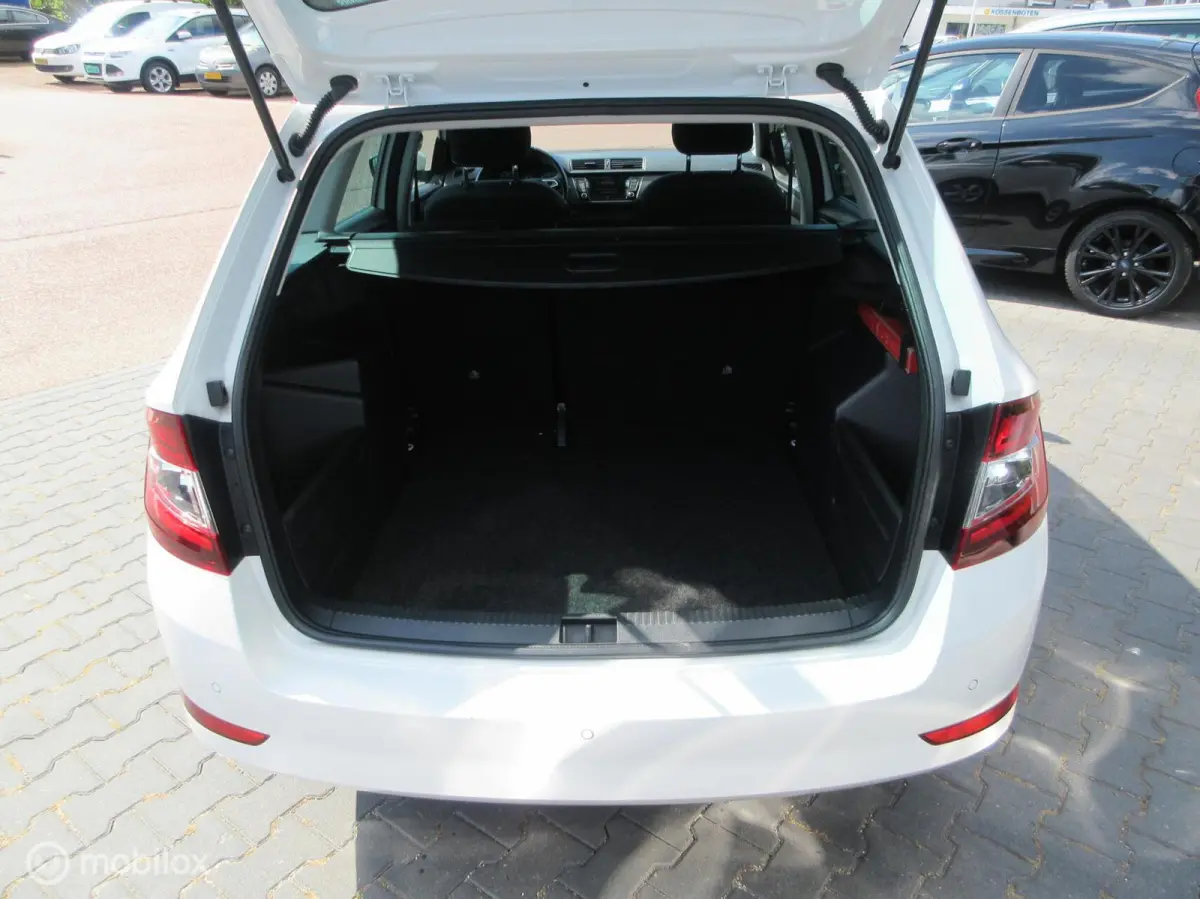1.0 TSI Business Edition Org Ned Luxe!