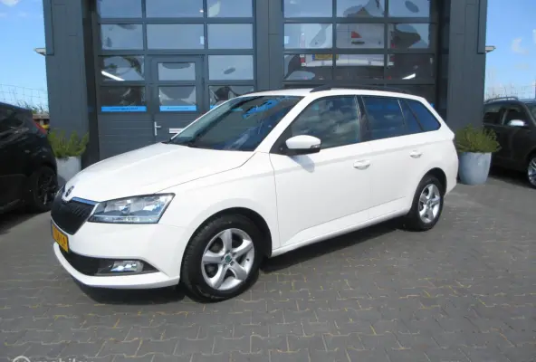 1.0 TSI Business Edition Org Ned Luxe!