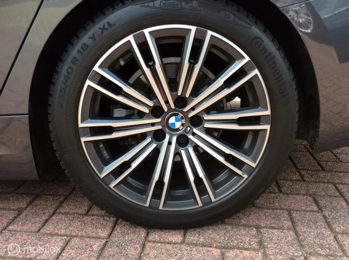 320i High Executive M-Pakket Panorama dak