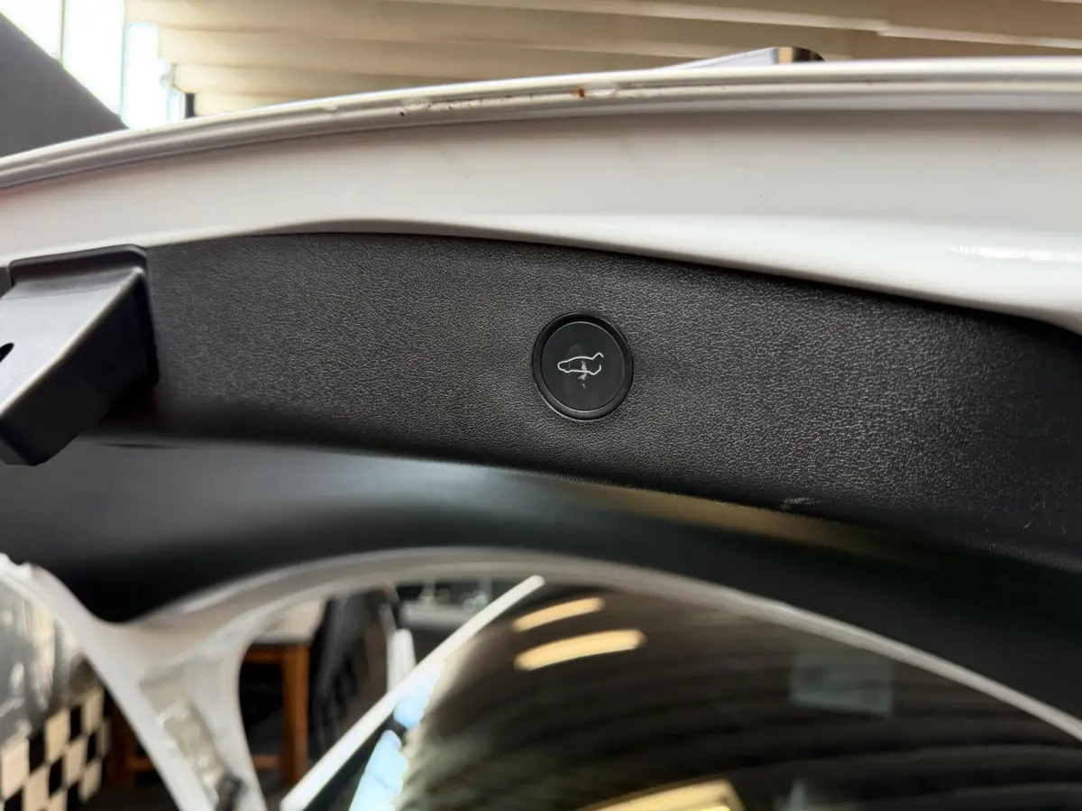 FACE LIFT standard range plus led ambilight