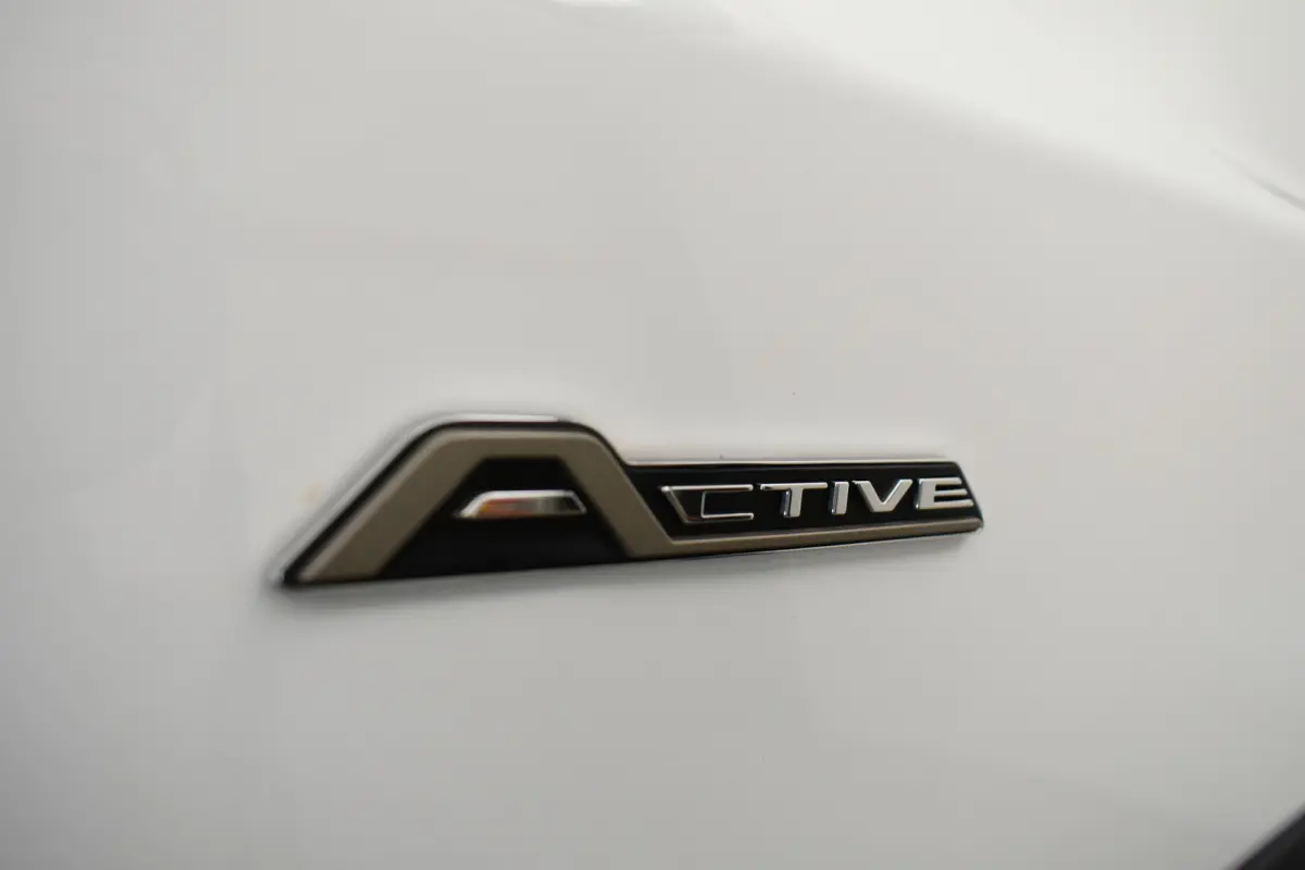 1.5 EcoB Active X 150pk B&O  Navi Carplay