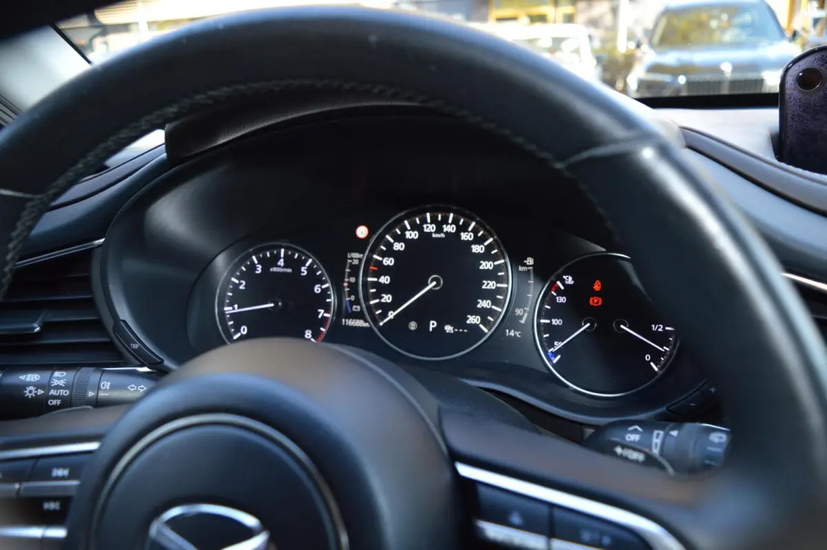 2.0 e-SkyActiv M Hybrid Bose|Camera|Leder|Head!