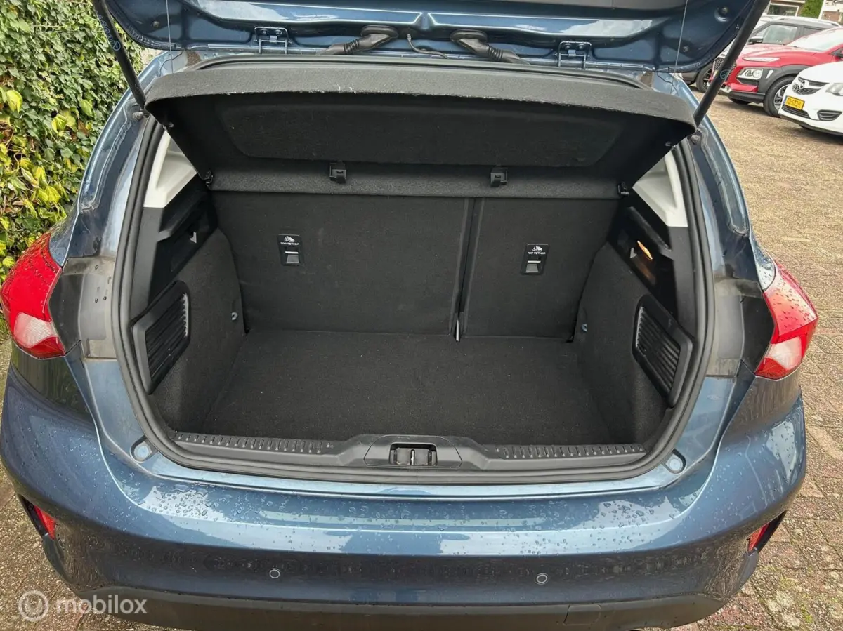 1.0 EcoBoost Hybrid Trend Edition Business Navigatie Camera