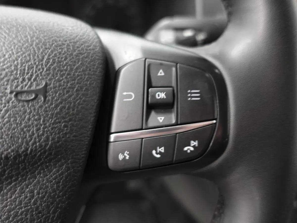 300 2.0 TDCI L2H1 Trend Dubbele Cabine Airco Cruise Control Bluetooth Navi Trekhaak