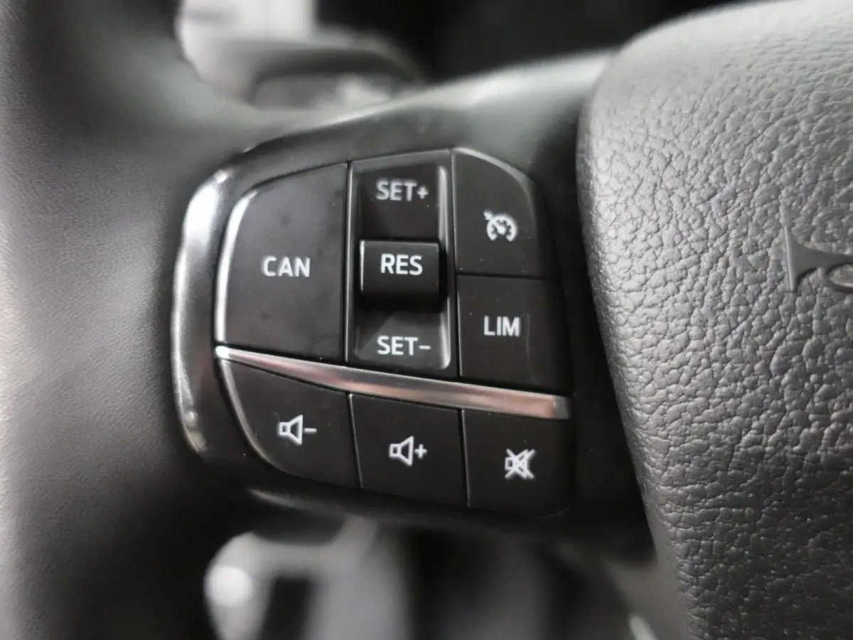 300 2.0 TDCI L2H1 Trend Dubbele Cabine Airco Cruise Control Bluetooth Navi Trekhaak