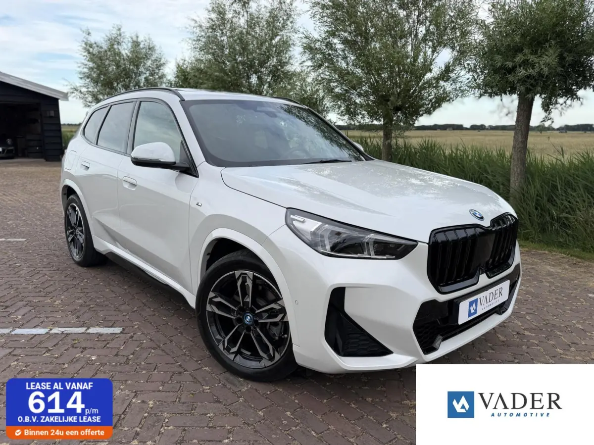 xDrive25e M Sport Pano H&K HUD 360 Memory Leder ACC