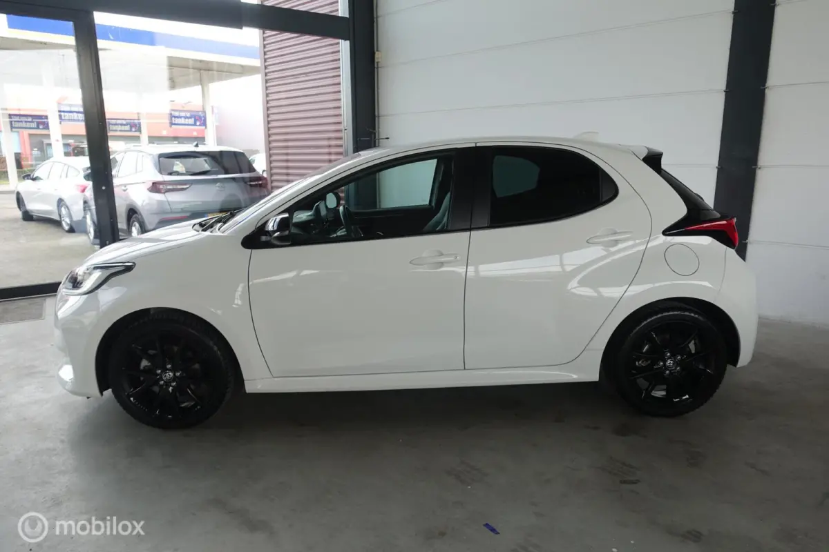 1.5 Hybrid Executive - RIJKLAARPRIJS