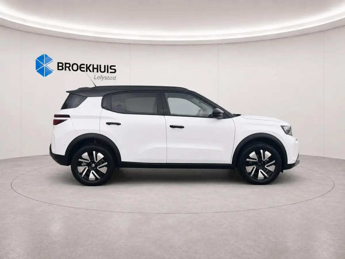 GS €3000,- voorraad voordeel | 17" Lichtmetalen velgen in Zwart met 215/60 R17 banden | Achteruitrijcamera | Dode hoek waarschuwing