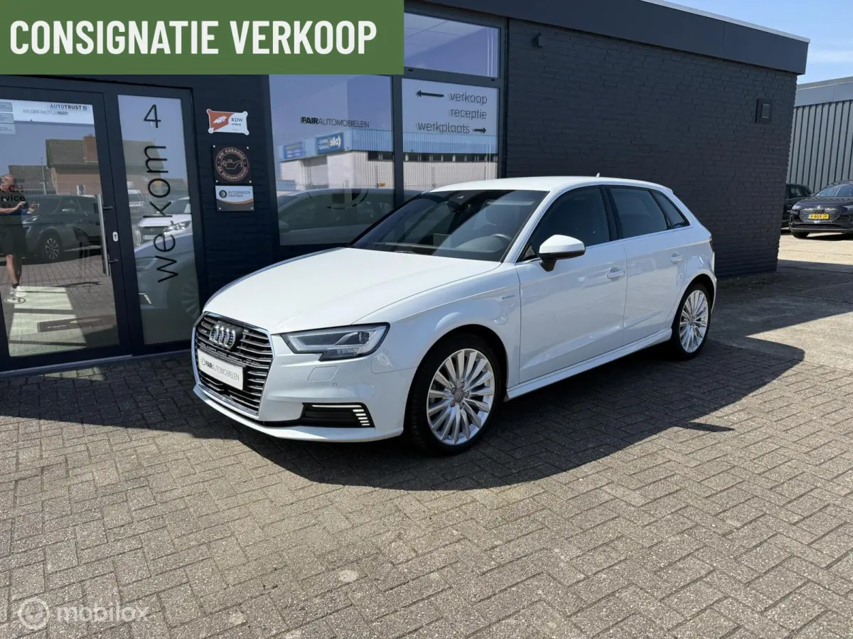 1.4 e-tron Pro Line plus