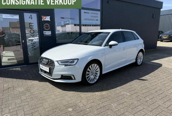 1.4 e-tron Pro Line plus