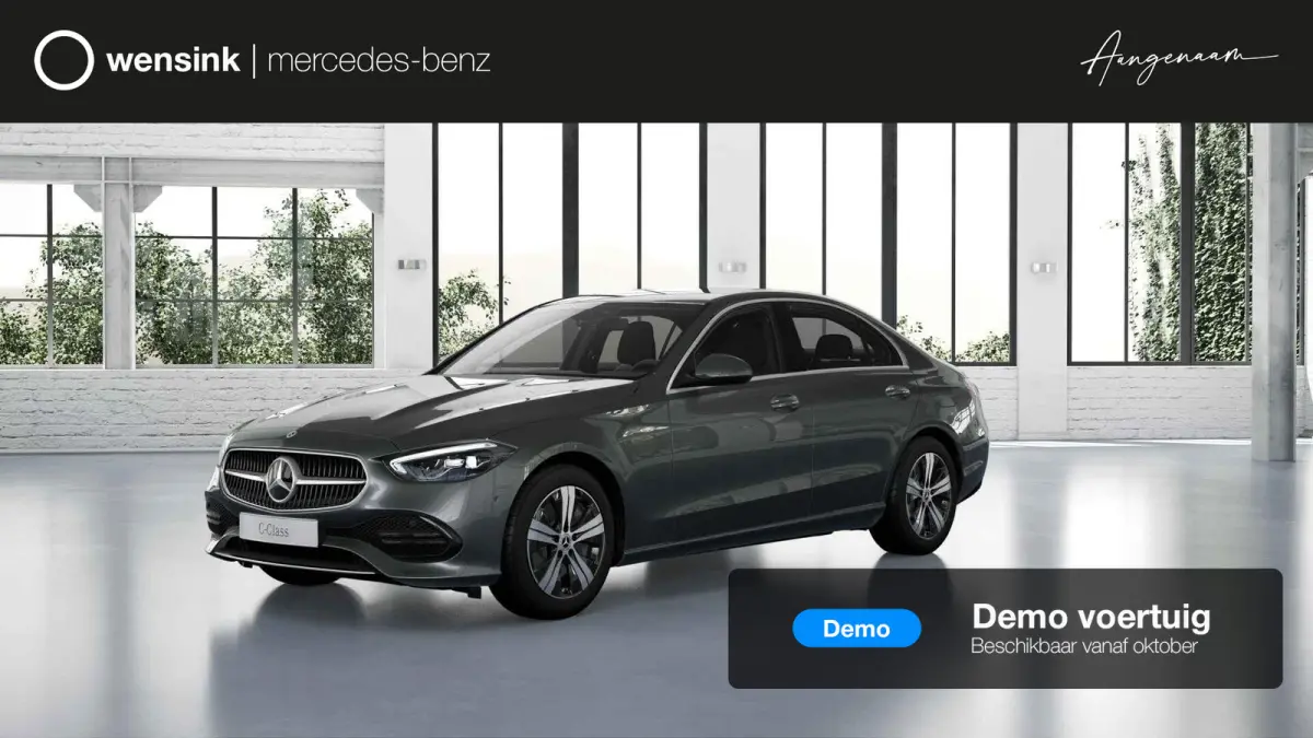 300 e Business Solution | Achteruitrijcamera |  Voorstoelen verwarmd | Apple CarPlay