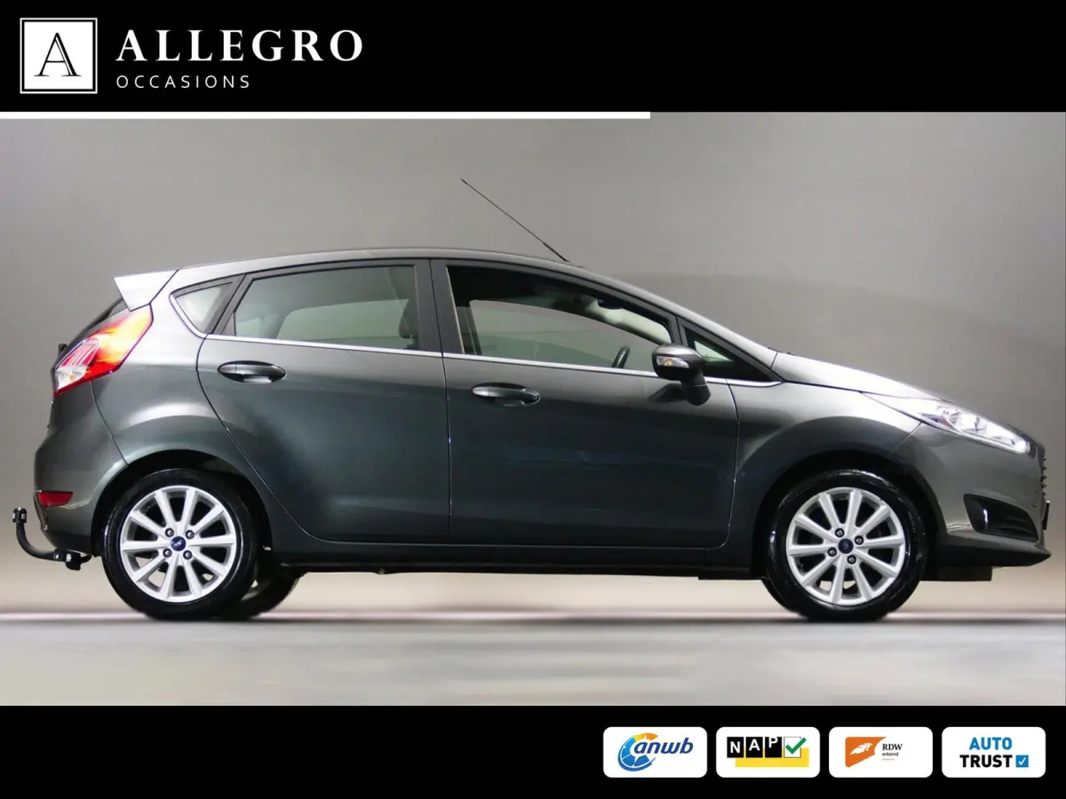 1.0 Titanium (NAVIGATIESYSTEEM, CLIMATE CONTROL, CRUISE CONTROL, PARKEERSENSOREN ACHTER, VOORRUITVERWARMING, TREKHAAK)
