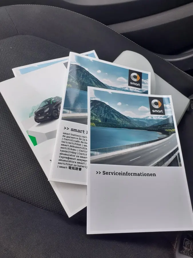 Electric Drive Perfect 18kWh Passion Passion | Cabrio | Full Electric