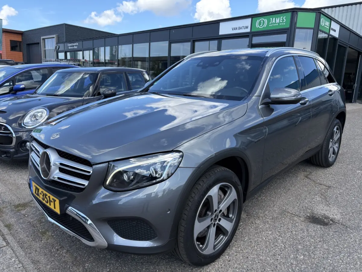 350e Hybride | 4Matic | Business | AMG | Panodak | leer | trekha