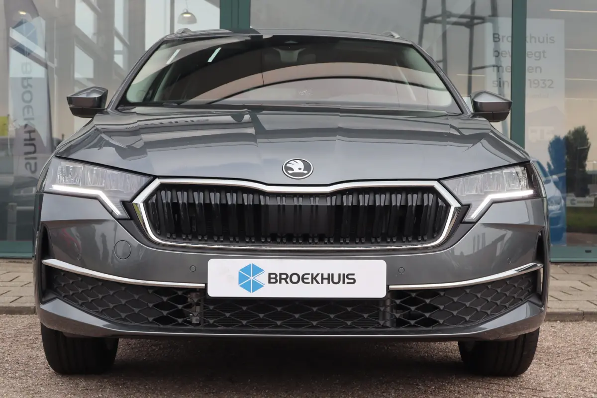 Business Edition | Achteruitrijcamera | Chromen grille | Cruise control met speedlimiter