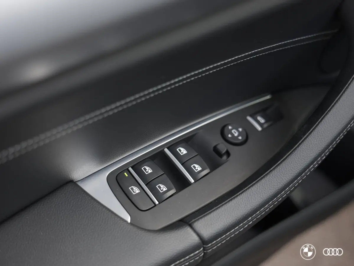 xDrive20i HIGH EXECUTIVE / DEALER ONDH. / LEDER / TREKHAAK / 18"