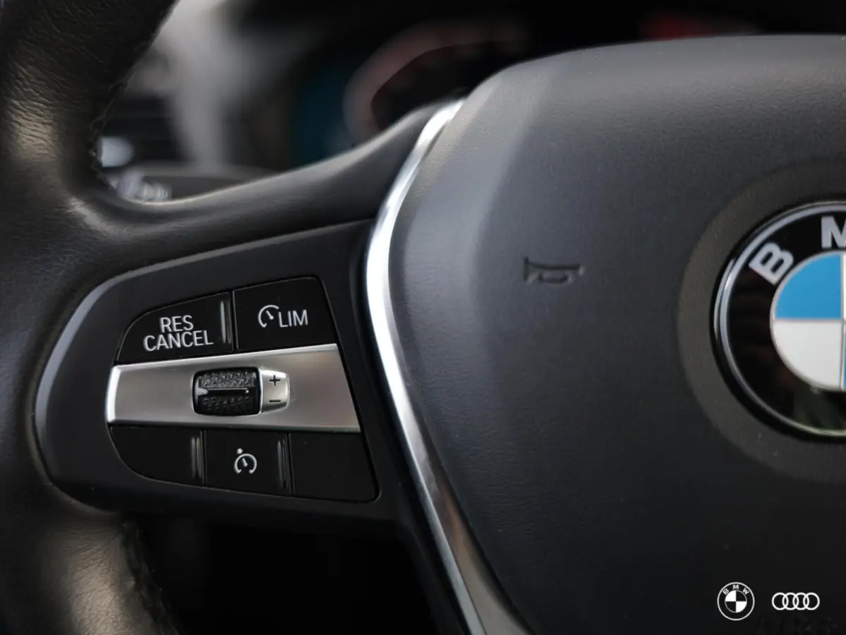 xDrive20i HIGH EXECUTIVE / DEALER ONDH. / LEDER / TREKHAAK / 18"
