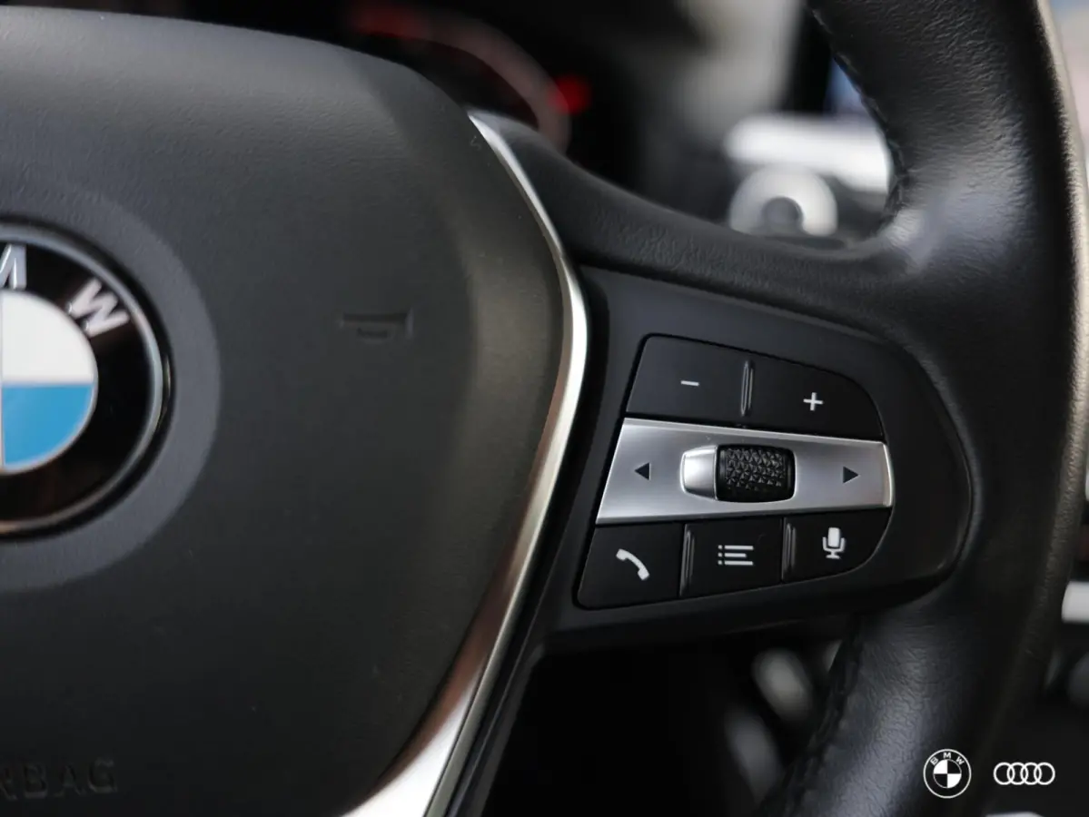 xDrive20i HIGH EXECUTIVE / DEALER ONDH. / LEDER / TREKHAAK / 18"