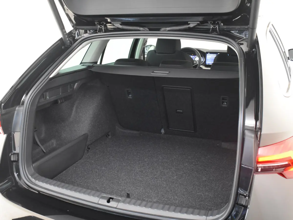 Business Edition Plus | Achteruitrijcamera | Chromen grille | Dynamic Chassis Control