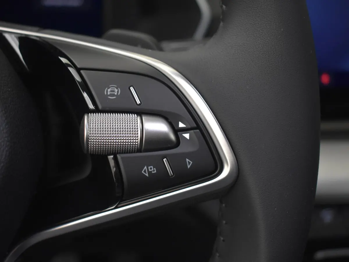 Business Edition Plus | Achteruitrijcamera | Chromen grille | Dynamic Chassis Control