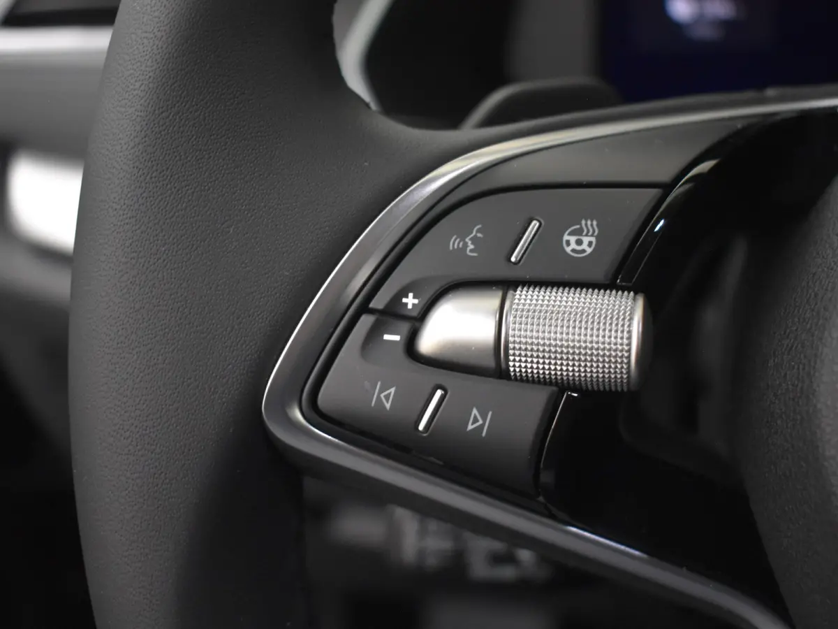 Business Edition Plus | Achteruitrijcamera | Chromen grille | Dynamic Chassis Control