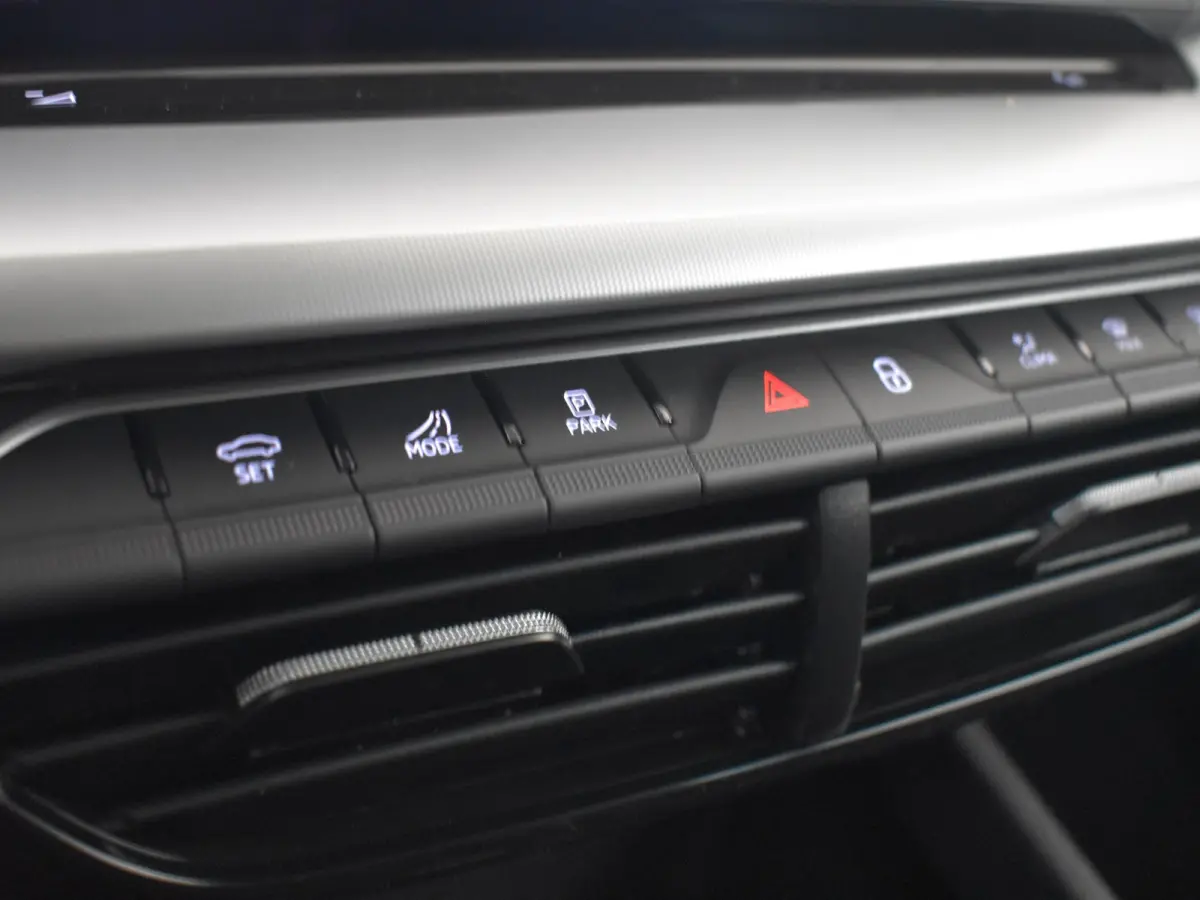 Business Edition Plus | Achteruitrijcamera | Chromen grille | Dynamic Chassis Control