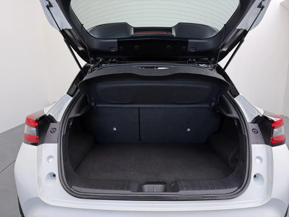 1.6 Hybrid N-Design | Stoel-, Stuur- & Voorruitverw. | | Parkeercamera | Navigatie |