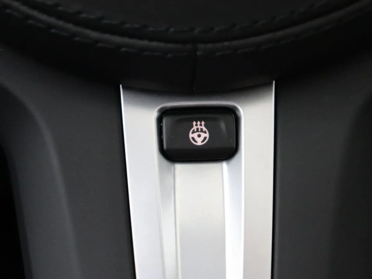 High Executive 80 kWh SoH 97% | High Executive | Stuurwielrand Verwarmd | Driving Assistant Professional | 19''