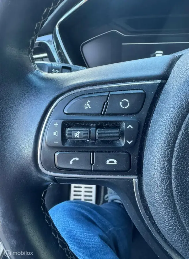 1.6 GDi PHEV ExecutiveLine leer open dak TH adapt.