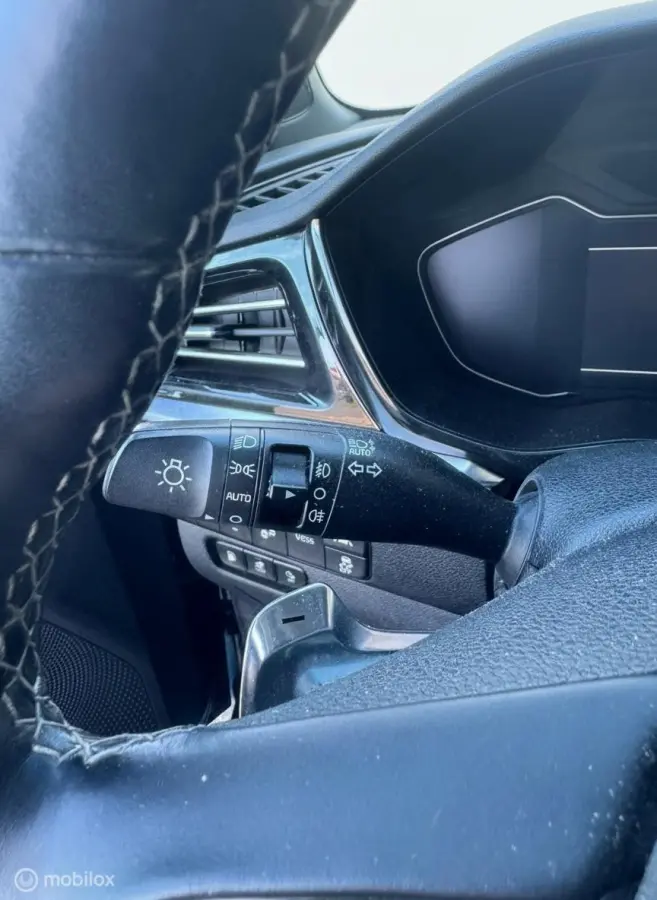 1.6 GDi PHEV ExecutiveLine leer open dak TH adapt.