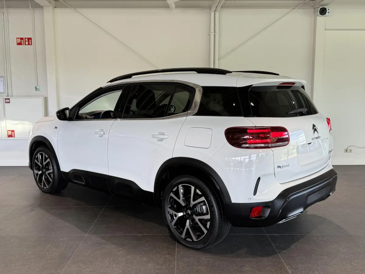 1.6 Plug-in Hybrid 225 Shine | Stoelverwarming | Navigatie | Climate control | Camera