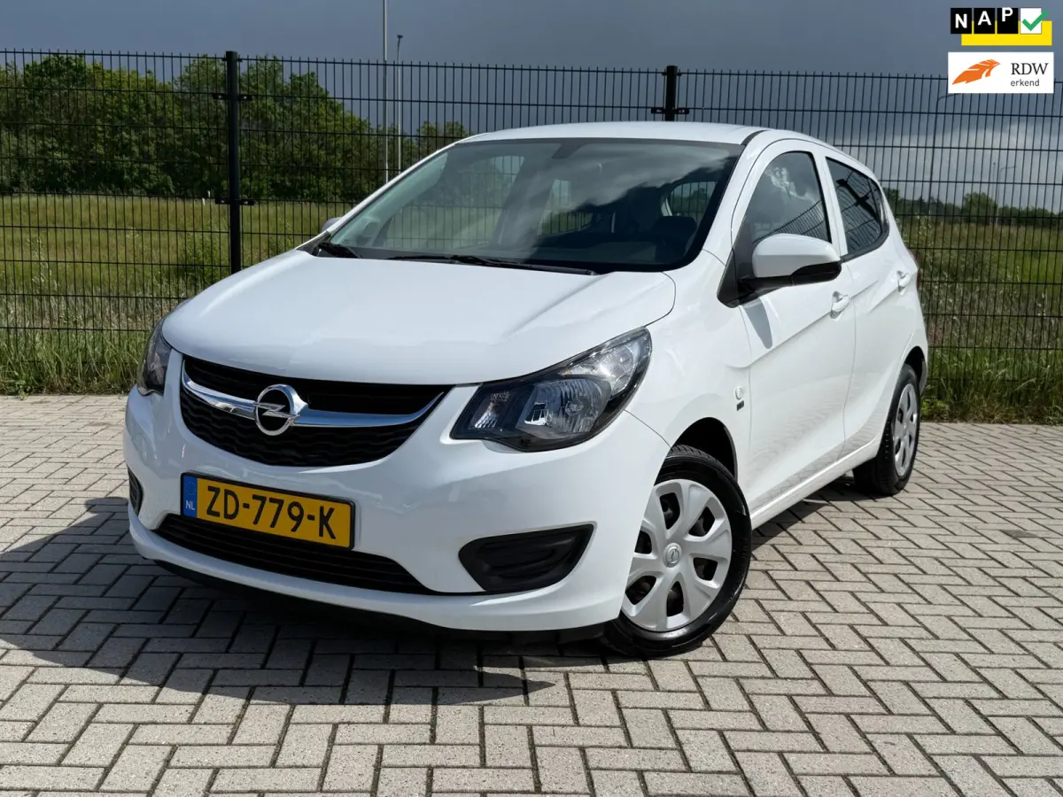 1.0 ecoFLEX 120 Jaar Edition| Bluetooth | Cruise Control| AIRCO
