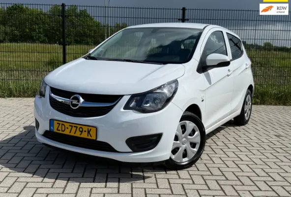 1.0 ecoFLEX 120 Jaar Edition| Bluetooth | Cruise Control| AIRCO