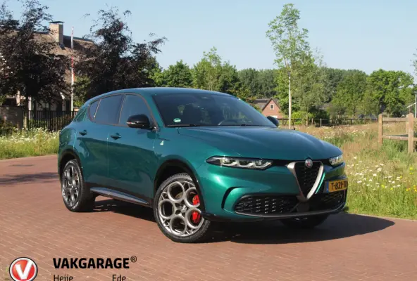 1.3T PHEV Edizione Speciale | 280PK | Winterpakket | NL-Auto | Camera |