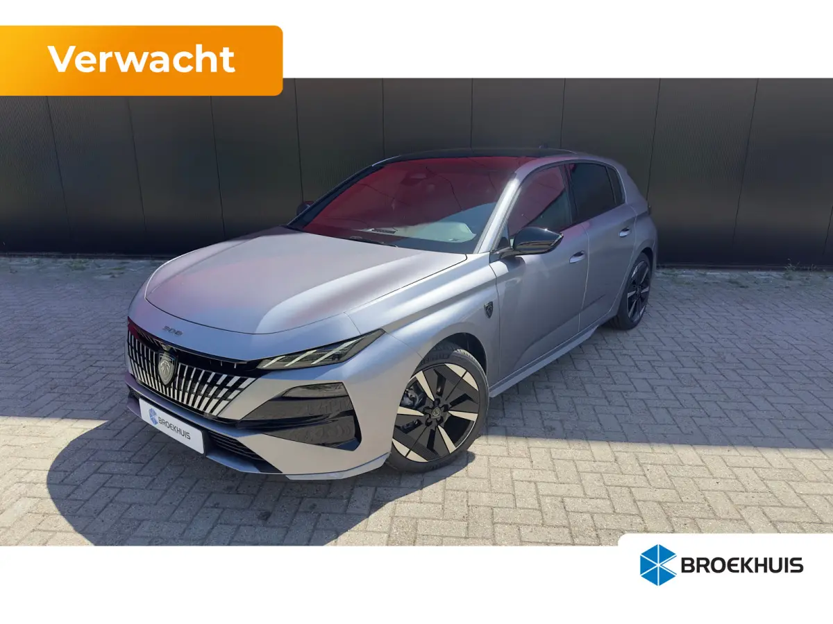 GT | Driver Sport Pack | Elektrische parkeerrem | Extra getinte achterste zijruiten en achterruit