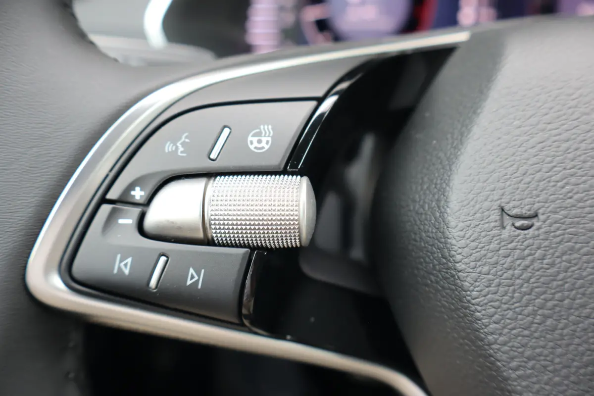 Business Edition | Achteruitrijcamera | Chromen grille | Cruise control met speedlimiter