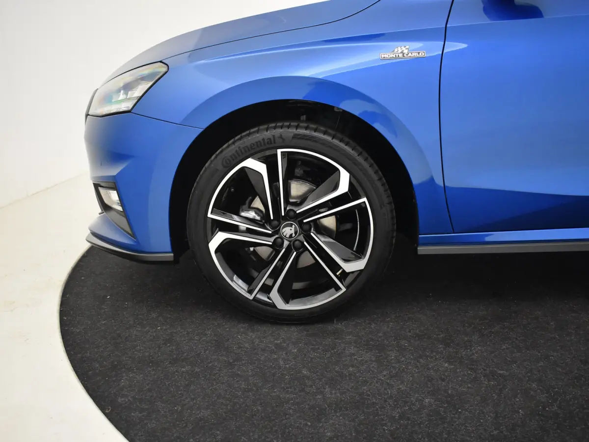 Monte Carlo | Achteruitrijcamera | Cruise control met speedlimiter | Driver Activity Assistant, vermoeidheid waarschuwingssysteem