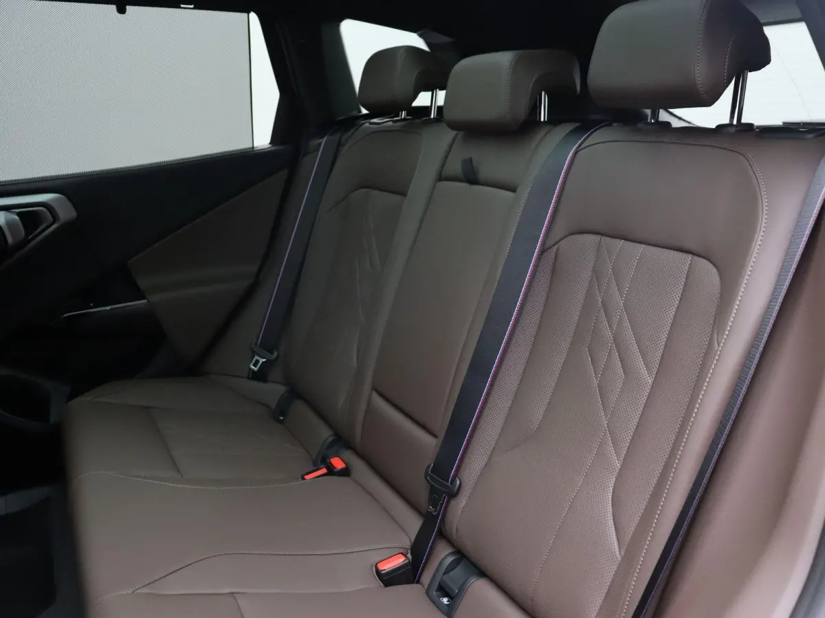 30e xDrive M Sportpakket Pro | SoH 100% |  Professional Pack | Comfort Pack | Premium Pack | Trekhaak | Panoramadak | Driving Assistant Professional | Harman Kardon | 21''