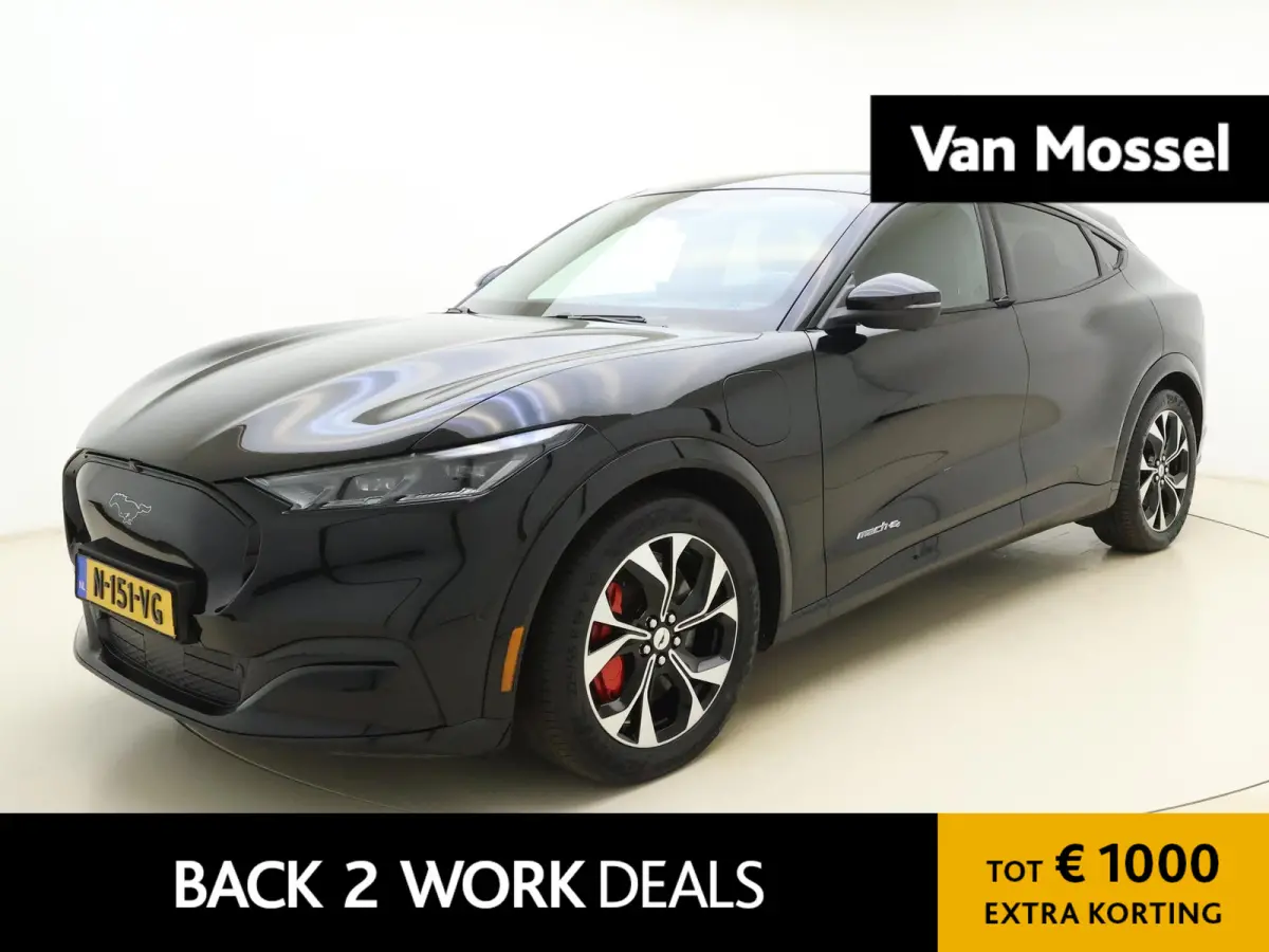 AWD 75 kWh | SOH 91% | Elek. Lederen Stoelen | 360 Camera | B&O Audio | Elek. Kofferklep | Winter Pakket |